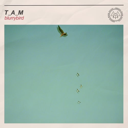 blurrybird