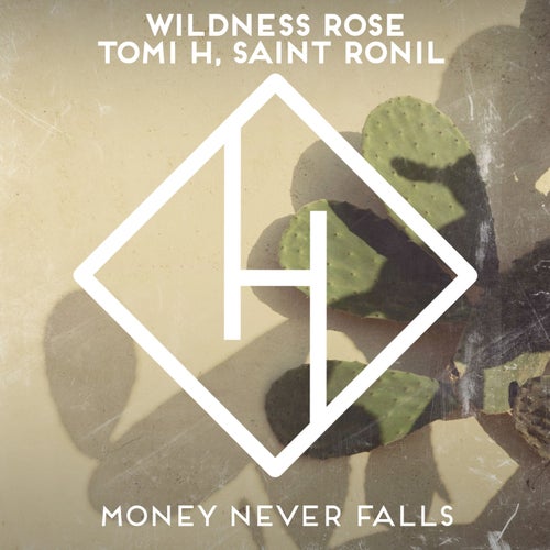 Money Never Falls (Extended Mix)