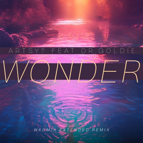 Wonder (Wkomix Extended Remix)