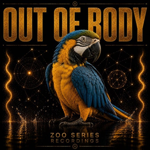 Out of Body