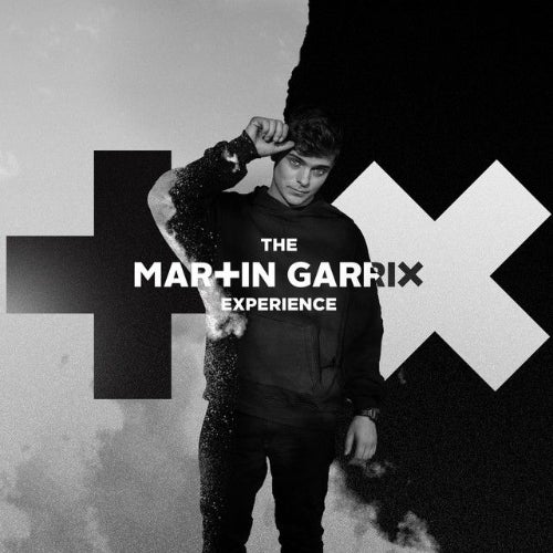 high on life martin garrix extended mix
