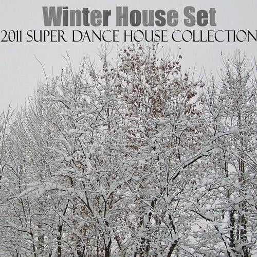 Winter House Set (2011 Super Dance House Collection)