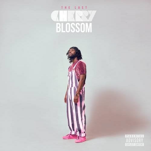 Cover art for The Last Cherry Blossom