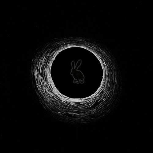 Rabbit Hole
