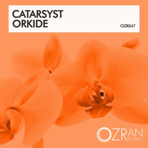 Orkide
