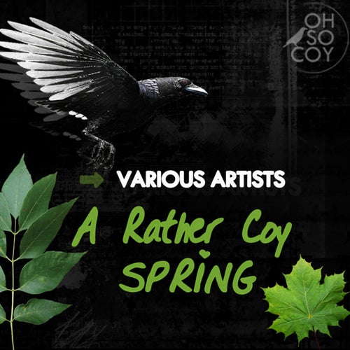 A Rather Coy Spring