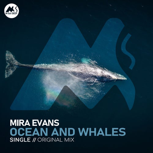 Ocean and Whales