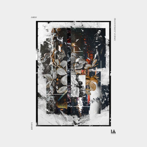 Cover art for Transcendent Echoes