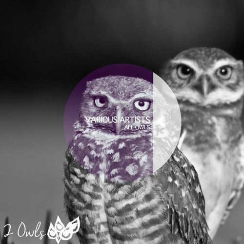 All Owls