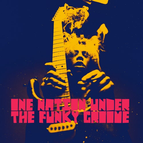 One Nation Under The Funky Groove