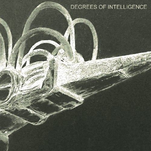 Degrees Of Intelligence