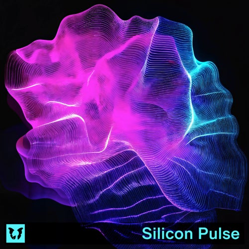 Silicon Pulse