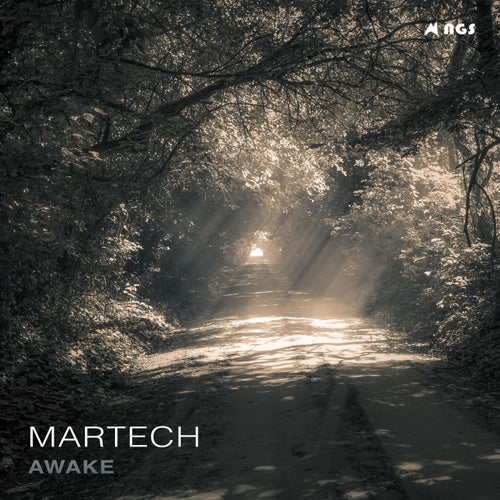 Cover art for Awake