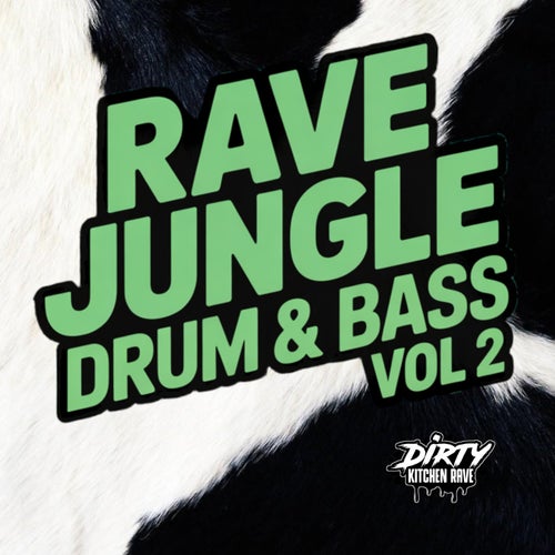 RAVE / JUNGLE / D&B, Vol. 2