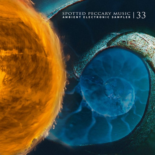 33