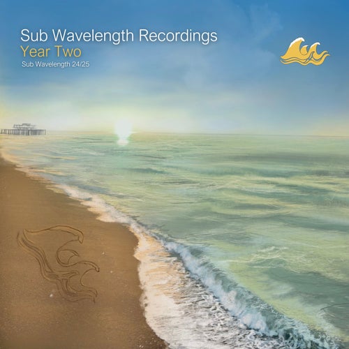 Sub Wavelength Recordings - Year Two