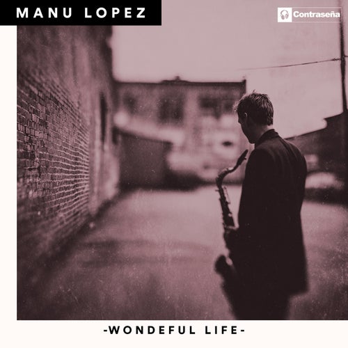 Wonderful Life