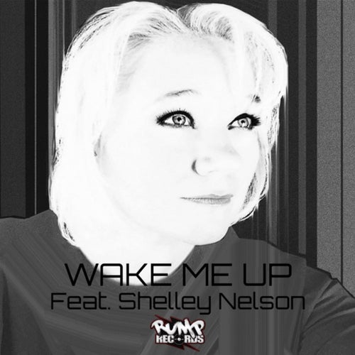 Wake Me up feat. Shelley Nelson