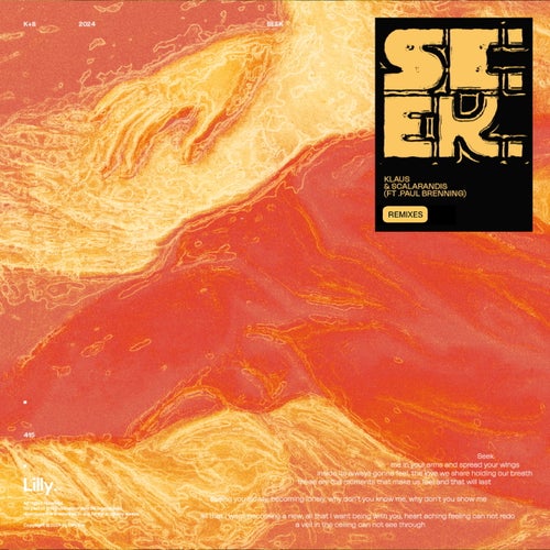 Seek - Remixes