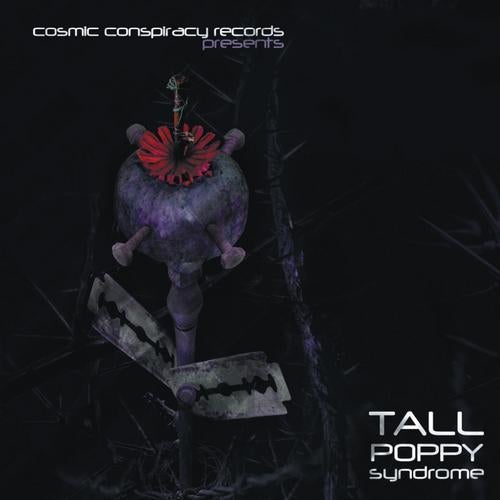 Tall Poppy Syndrome