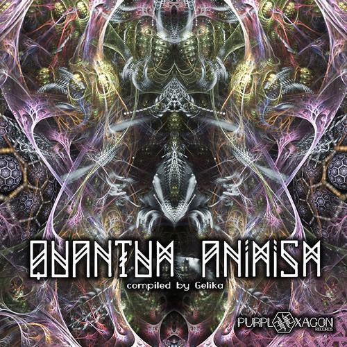 Quantum Animism