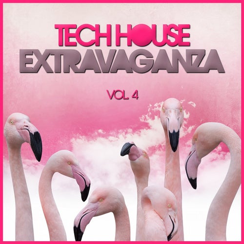 Tech House Extravaganza, Vol. 4