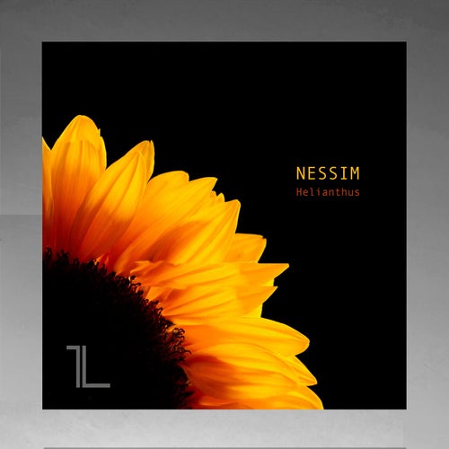 Cover art for Helianthus