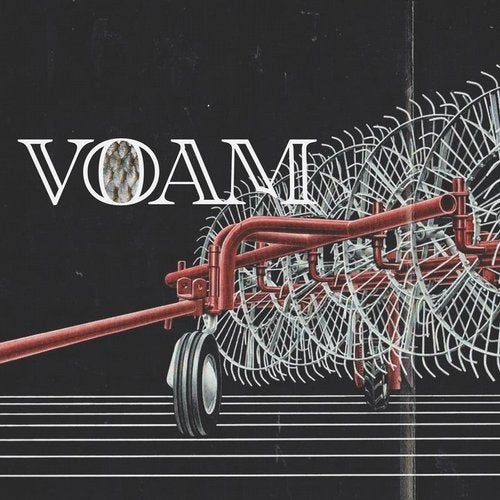 Cover art for Music Sounds Better With Shoe