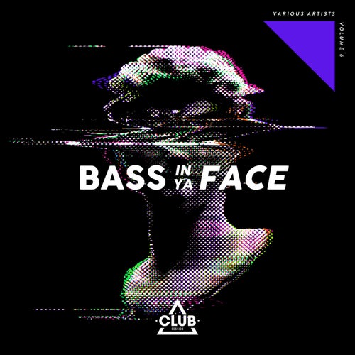 Bass In Ya Face Vol. 6