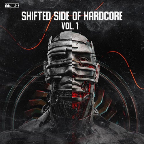 Shifted Side of Hardcore, Vol. 1