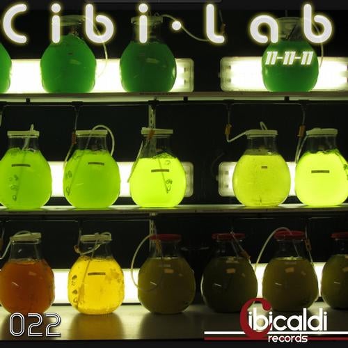 Cibilab 11-11-11
