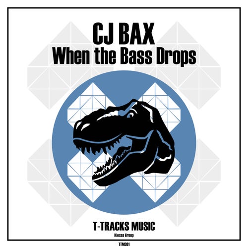 When the Bass Drops