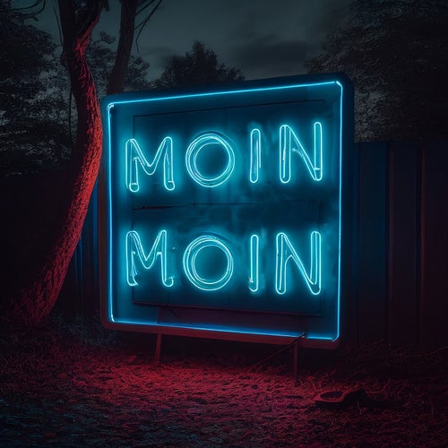 Cover art for Moin Moin