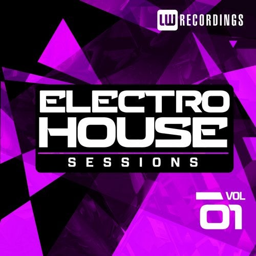 Electro House Sessions Vol. 1