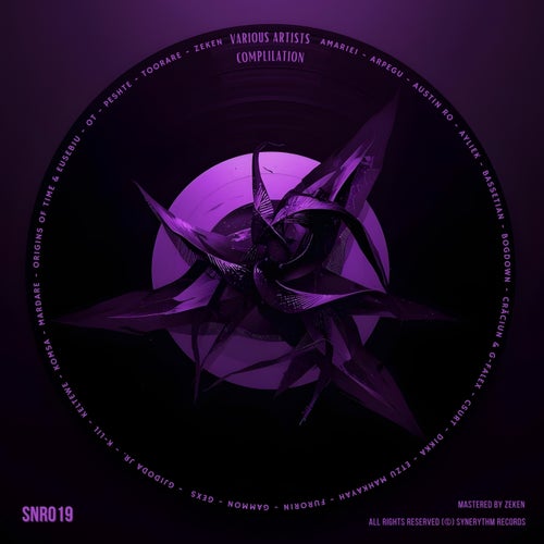 Snr019