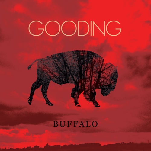 Buffalo
