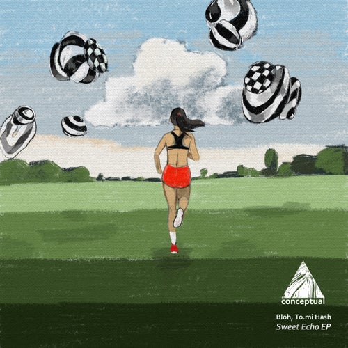 Cover art for Sweet Echo