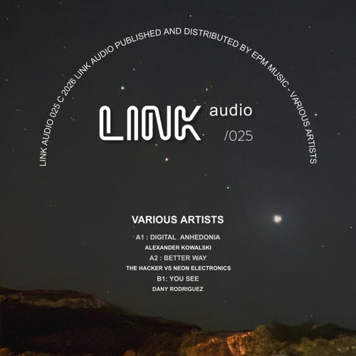 LINK Audio Various Artists Release