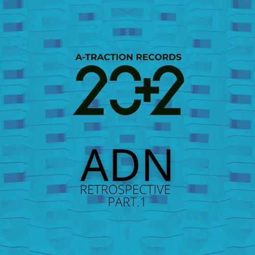ADN RETROSPECTIVE (Part.1)