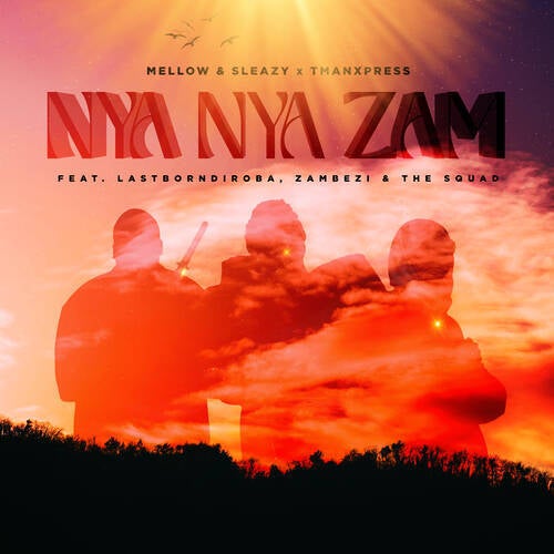 Nya Nya Zam