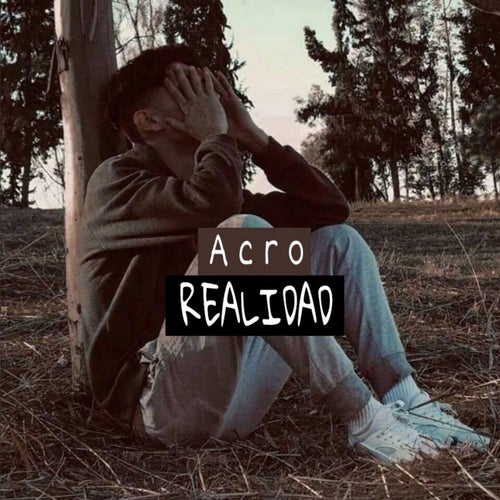 Realidad