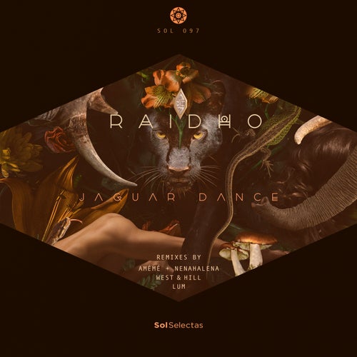 Cover art for Jaguar Dance