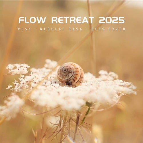 Flow Retreat 2025