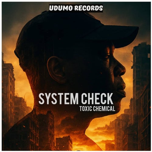 System Check