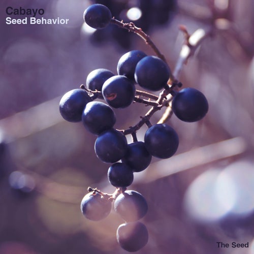 Cover art for Seed Behaviour