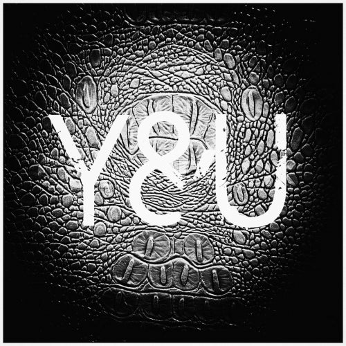 Y&U