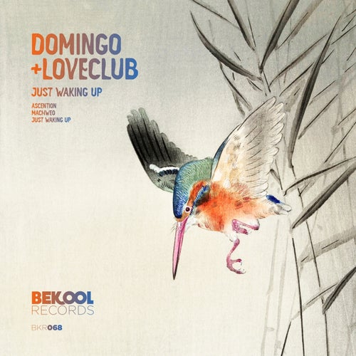 Domingo + Loveclub - Just Waking Up; Ascention; Machweo  (Original Mix's) [2024]