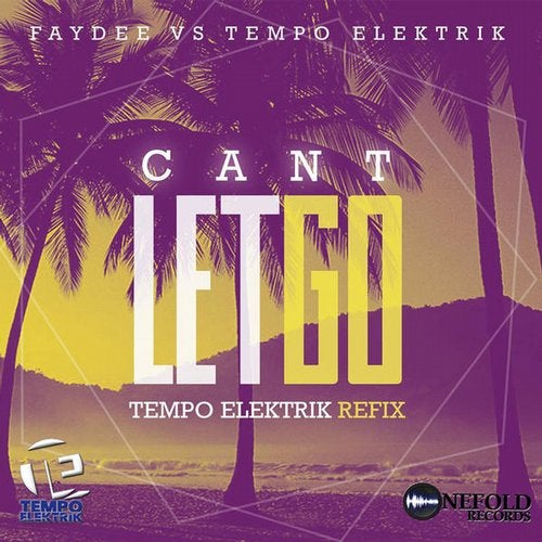 Can't Let Go (Faydee Vs Tempo Elektrik)