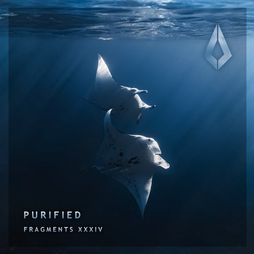 Purified Fragments XXXIV PF0233BP - Purified Records (Melodic House & Techno) Album Cover