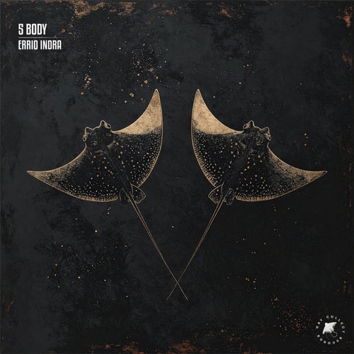 5 Body